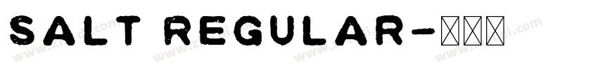 Salt Regular字体转换